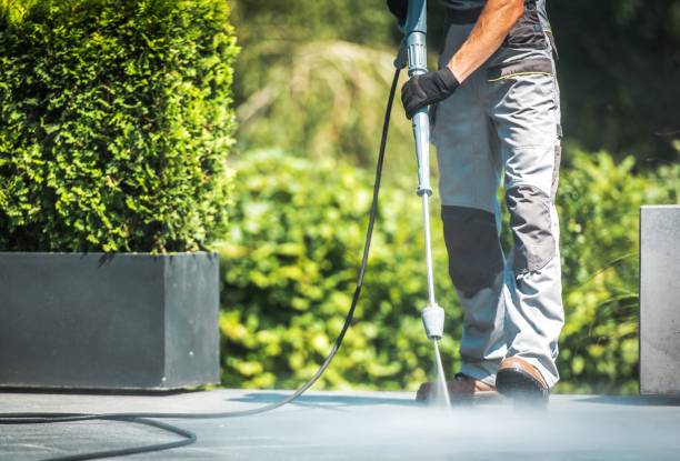 Best Fleet Vehicle Washing  in Mayfair, CA